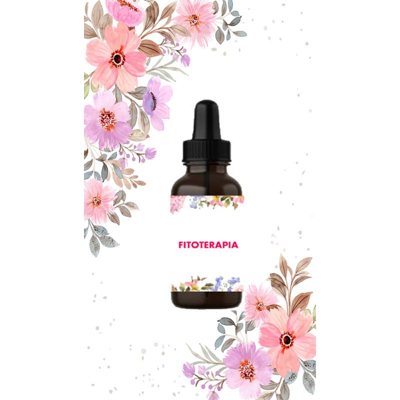 Fitoterapia natural | Bienestar con plantas medicinales